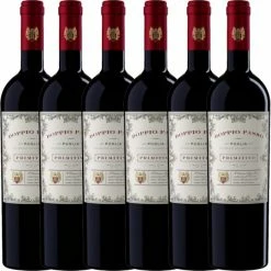 Doppio Passo Primitivo Puglia IGT 6x0,75l KARTON